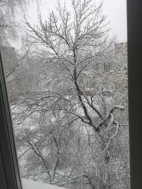 4-комнатная уютная квартира