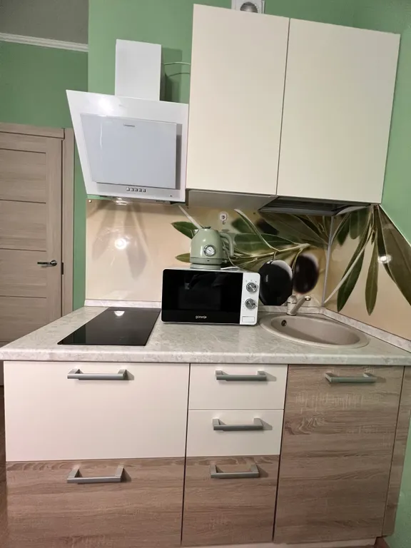 Вместительная студия в мурино