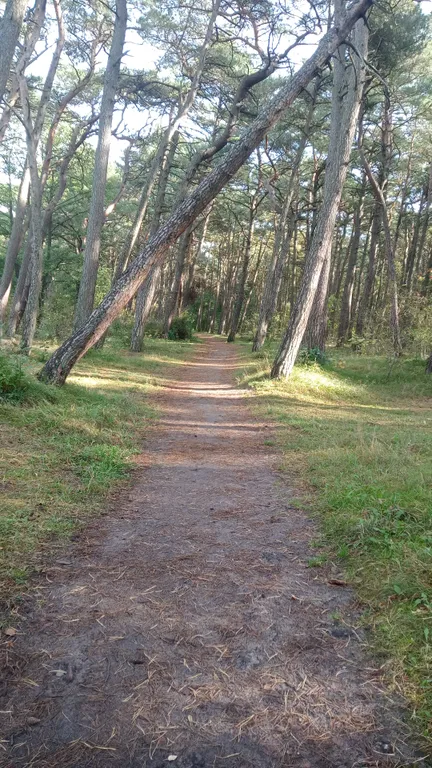 Квартира у моря