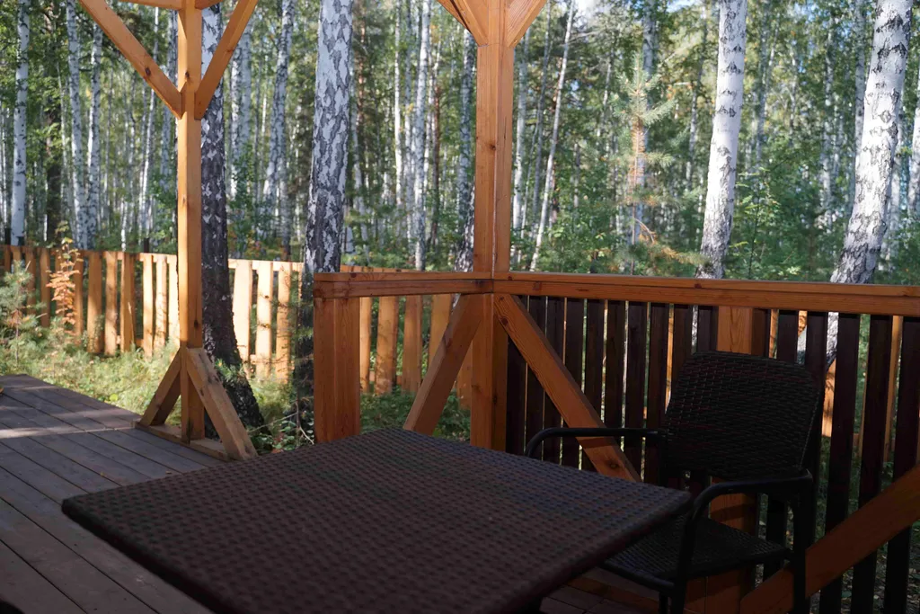 Дом  в березовой роще Заповедный