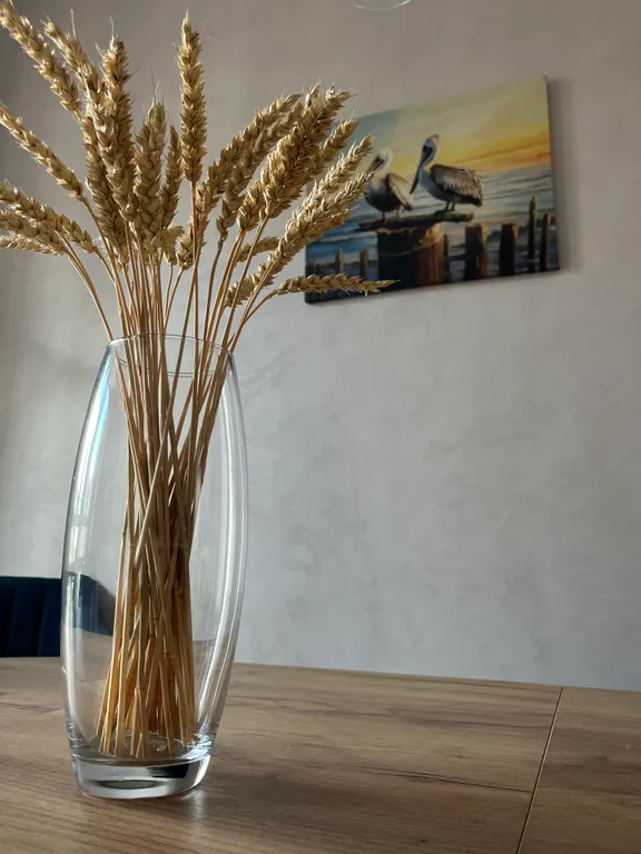 2х комнатные апартаменты рядом с морем с видом на лес