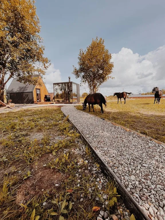 Дом в поле с лошадьми