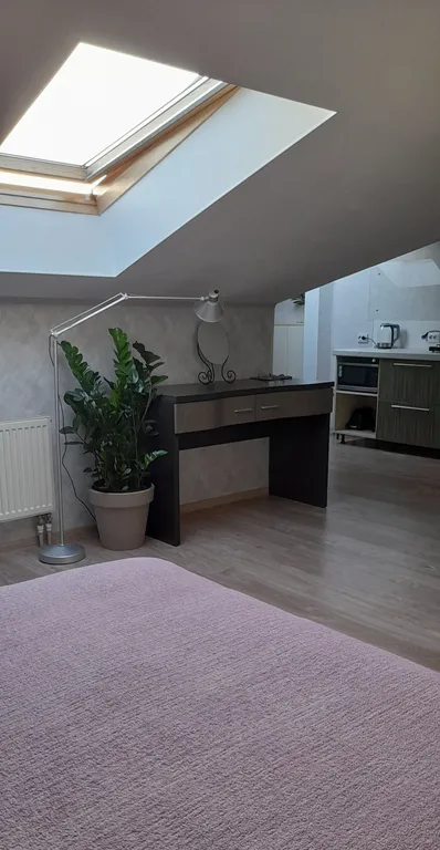 Квартира Квартира Уютная студия в мансарде рядом с Амалиенау — Калининград