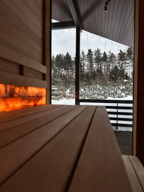 Дом с сауной и чаном