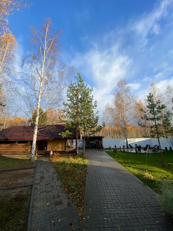 Сказочный дом в лесу