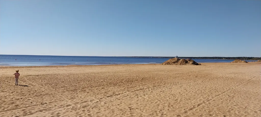 Аппартаменты на берегу Финского залива рядом с Сестрорецким курортом