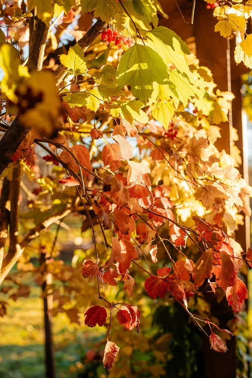 Усадьба Заповедная