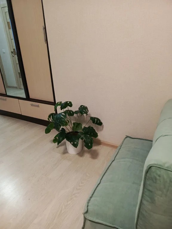 Квартира Квартира Отличная евротрешка у парка Галицкого — Краснодар