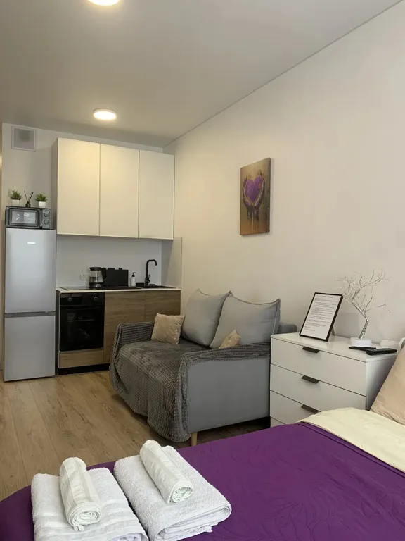 Уютнейшая студия в Ватутинках