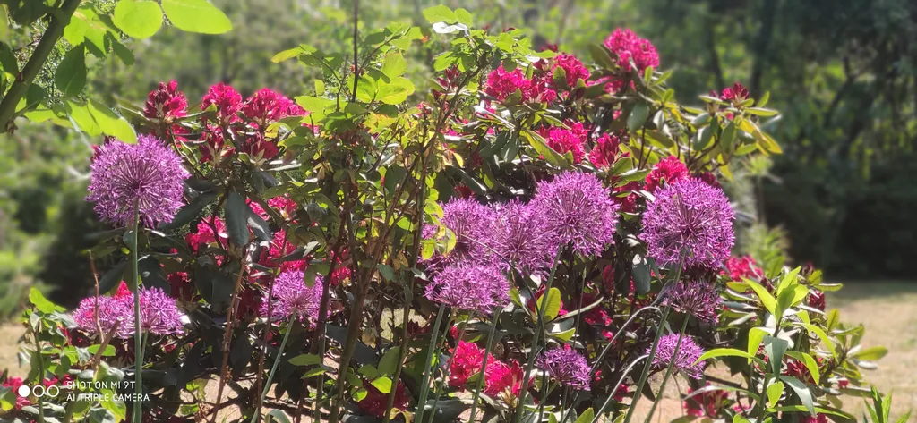 Небольшая дружелюбная студия с патио