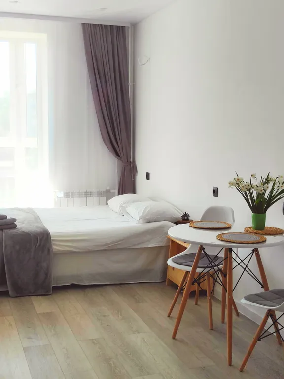 Красивая студия Skandi с панорамным окном у Море-парка