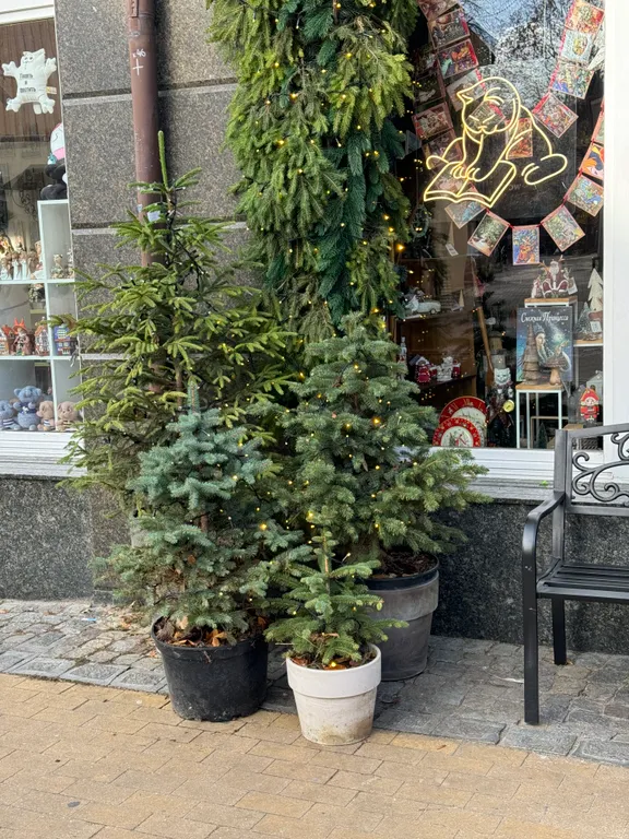 Квартира 2-комнатная квартира на побережье — Зеленоградск