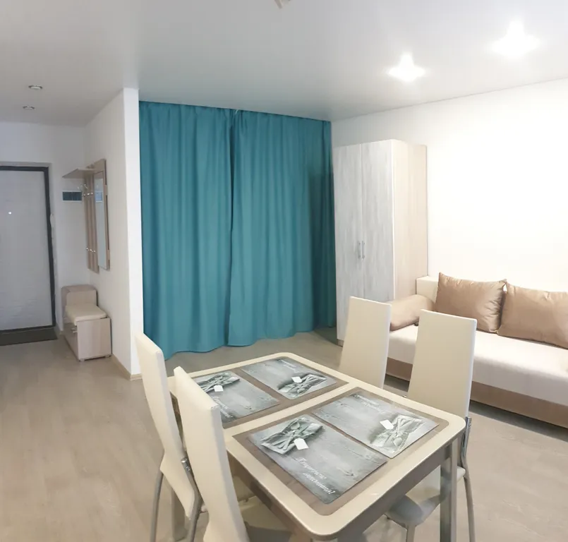 Студия в центре города