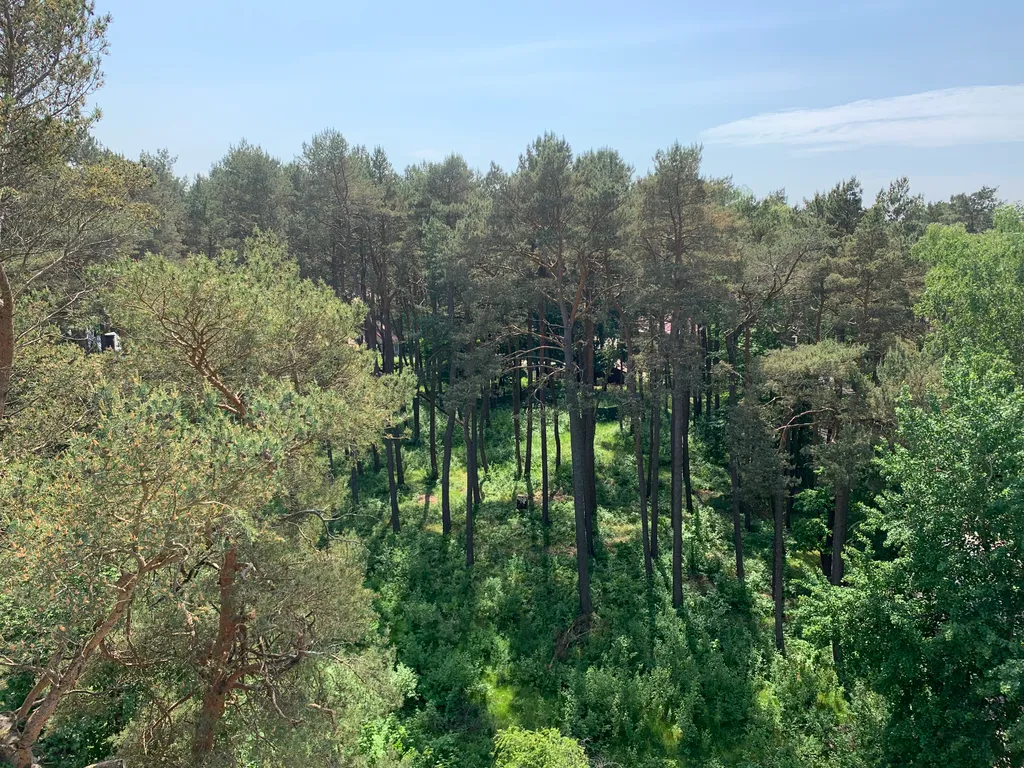 Легенда Светлогорска