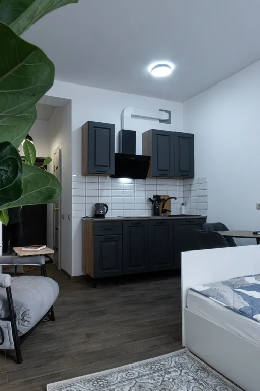 Студия Смена обстановки в горах