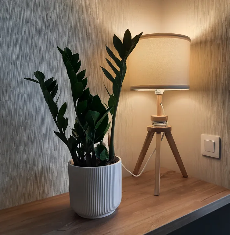 Уютная студия в центре города