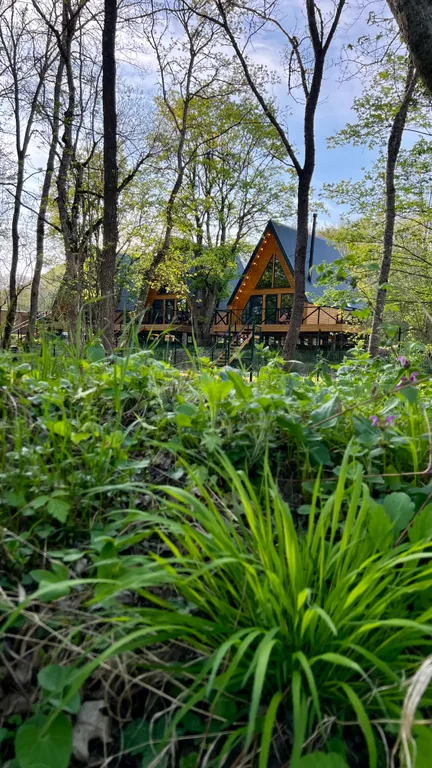 Афрейм с видом на лес рядом с горной рекой