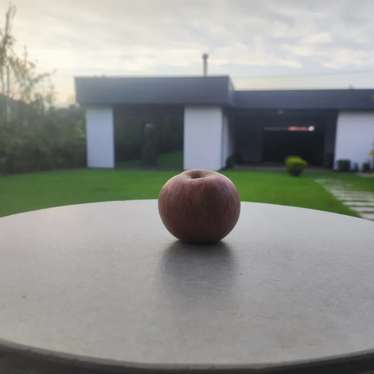 Коттедж Дом в зелёной части города — аренда посуточно в Владикавказ