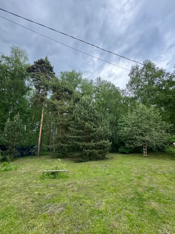 Большой дом среди сосен