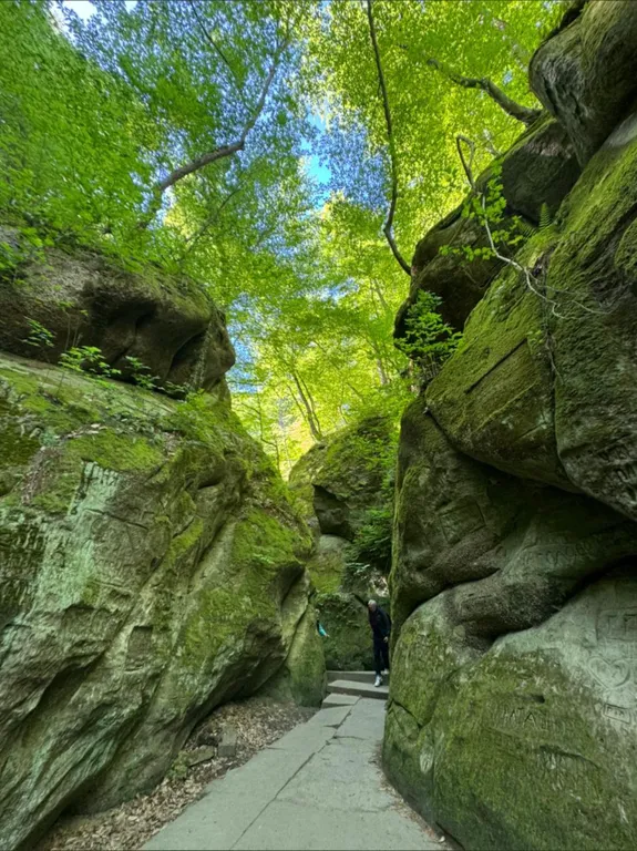Квартира Уютная квартира с шикарным видом на город и горы — Горячий Ключ