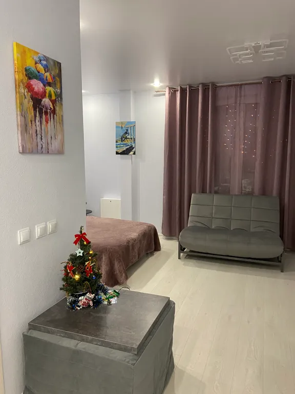 Квартира Апартамент с видом на Онежское озеро — аренда посуточно в Петрозаводск