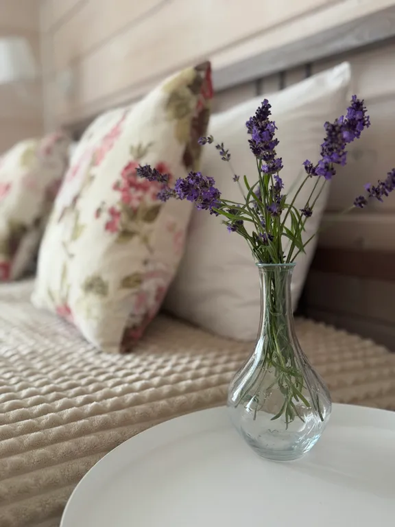 Коттедж Дом с камином, где можно приготовить пиццу в печи. Красное Село — Красное Село