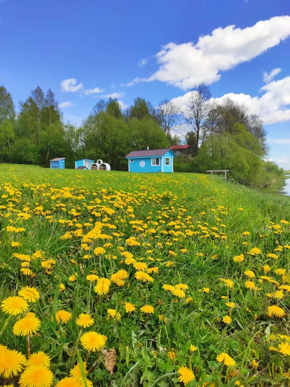 Дом Радха в Березовой роще