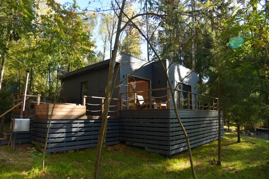 Коттедж Дом с панорамными окнами в чаще леса у берега реки — аренда посуточно в Пушкино