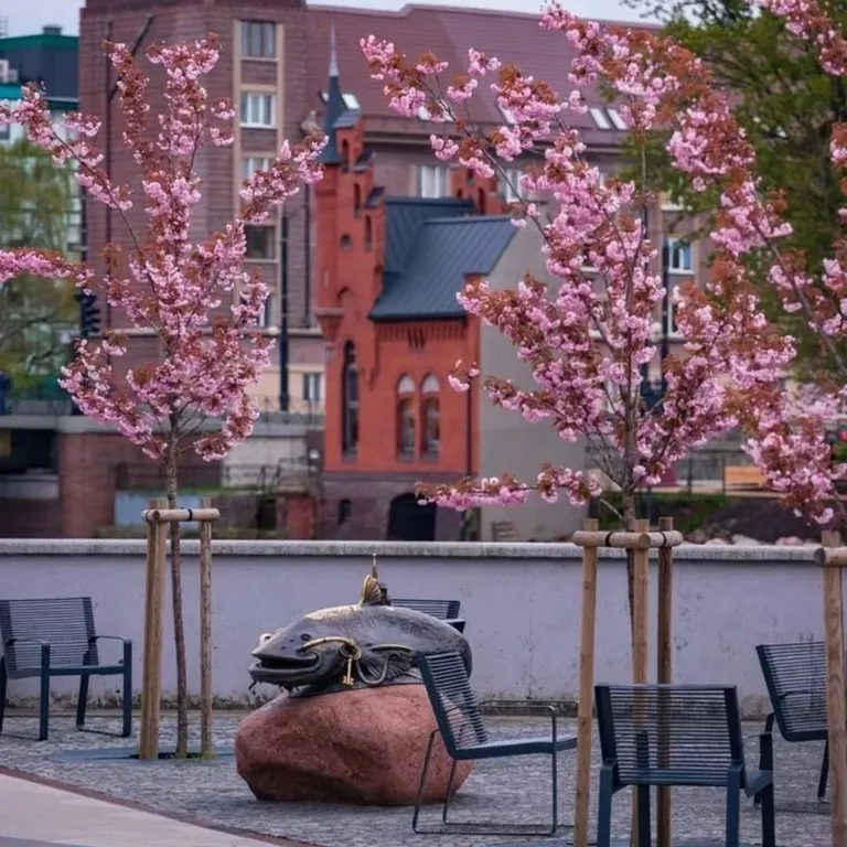 Квартира Апартаменты в историческом месте на реке Преголя — Калининград