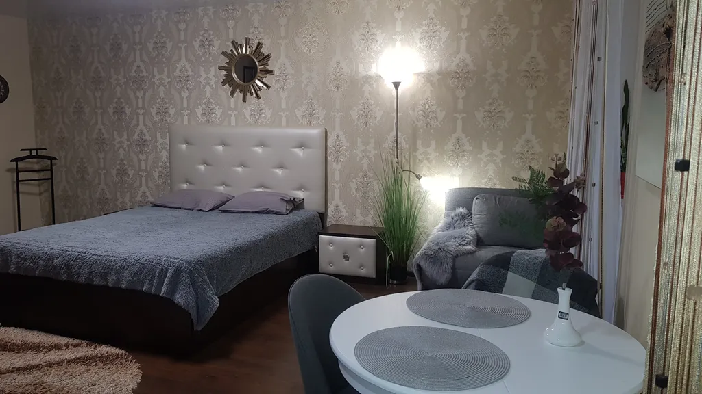 Студия в центре города, парк, ледовая арена