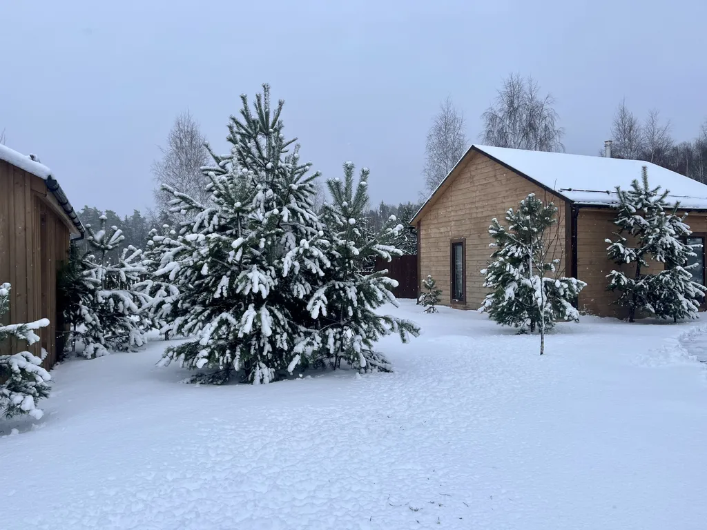 Коттедж в лесу у пруда