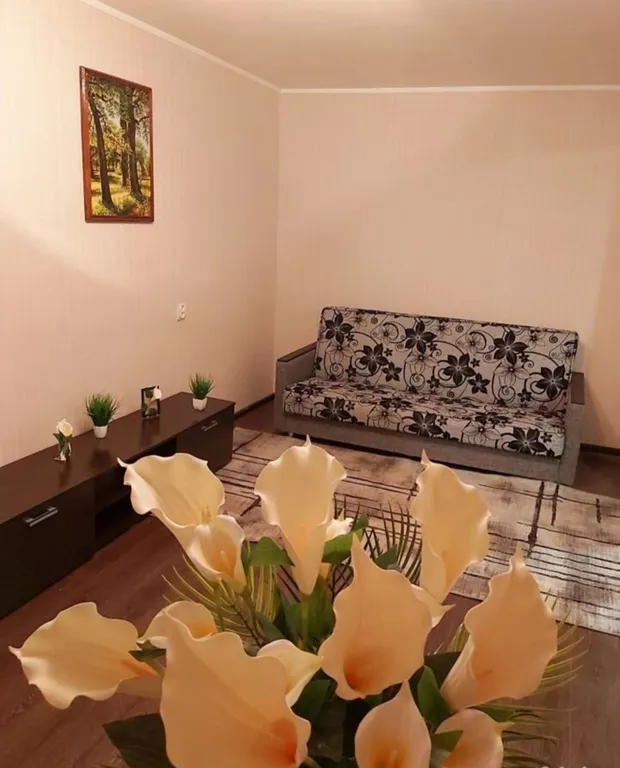 Уютная квартира напротив больницы Миротворцева и СГТУ — аренда посуточно в Саратов