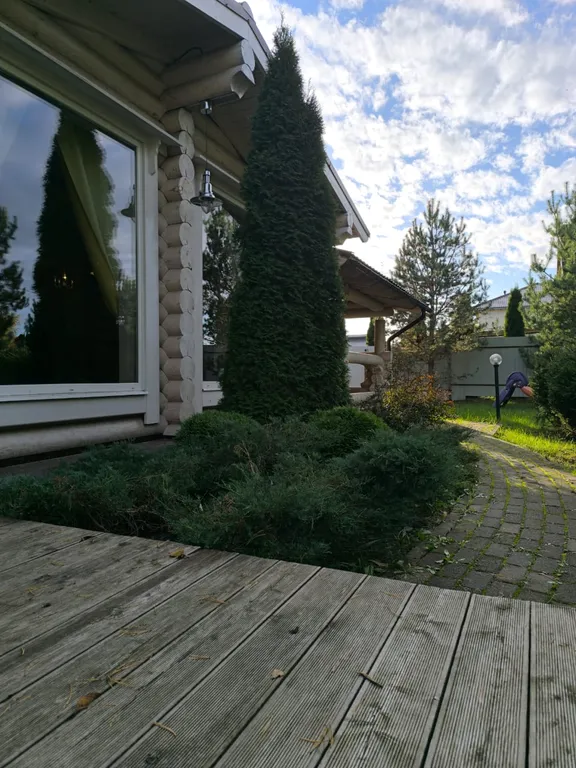 Дом рядом с лесом