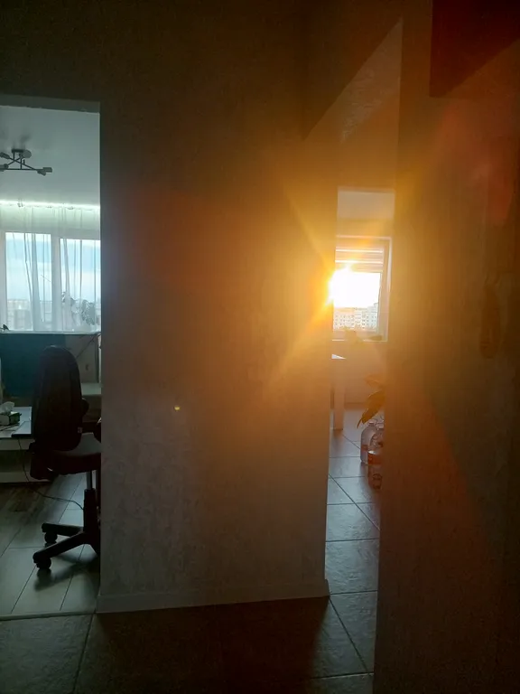 Парк Тысячелетия Витебска, Ледовый дворец