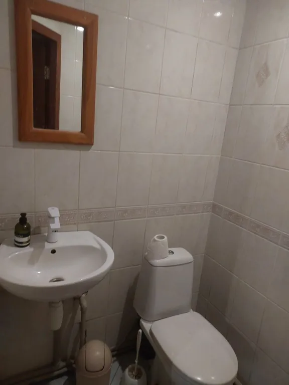 Дом в центре (макс количество гостей - 5 чел.)