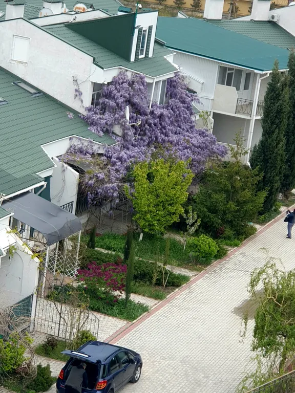 Апартаменты в 300 метрах от моря