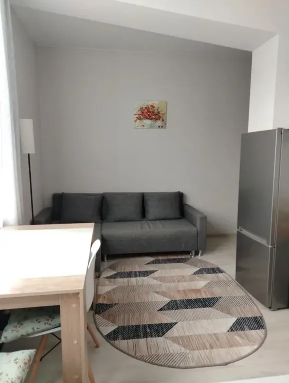 Солнечная квартира с французскими окнами и отдых на горной речке