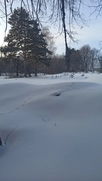 Воргольский каньон