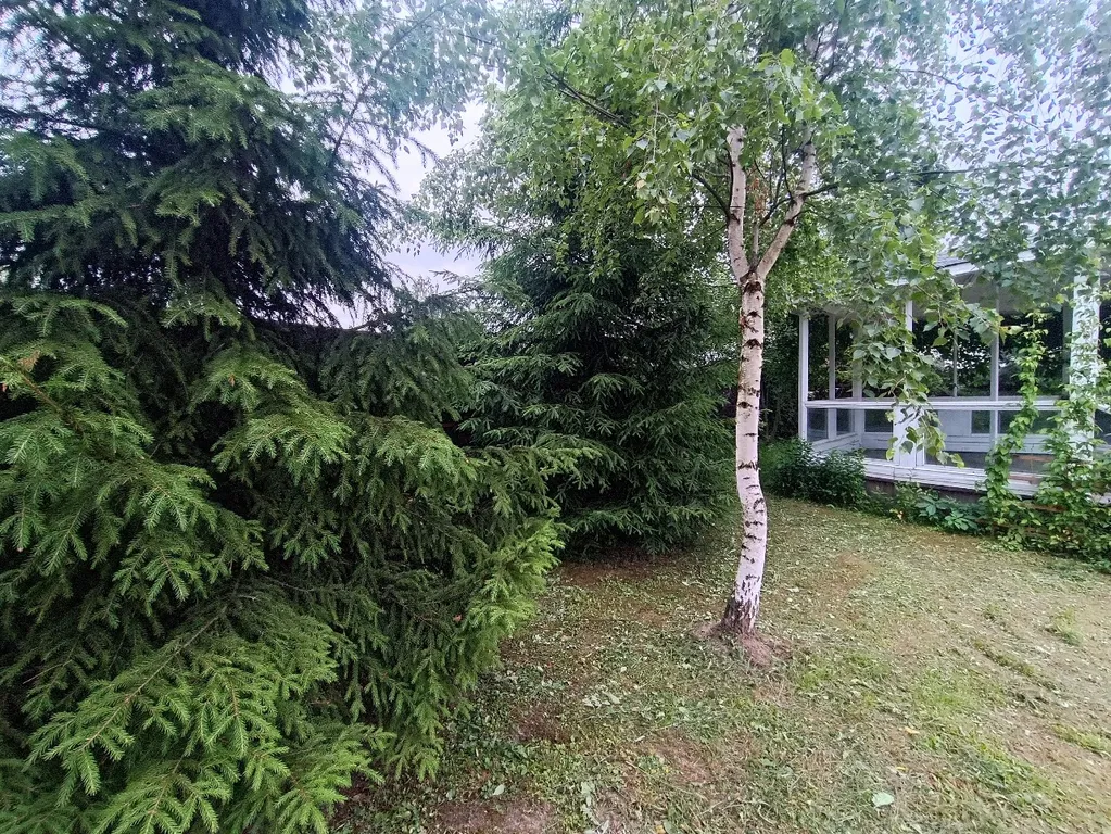 Большой светлый гостевой дом 230кв/м 50 соток участок