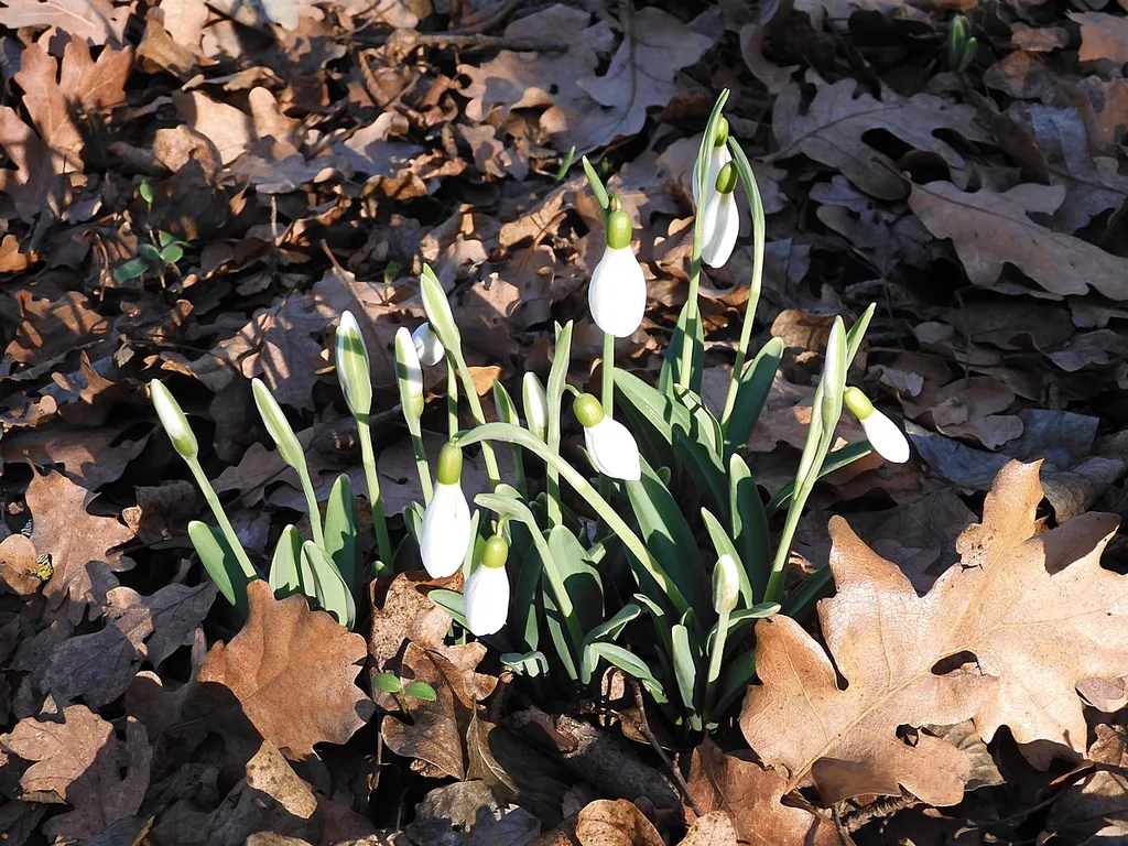 Уютная квартирка в солнечной Балаклаве