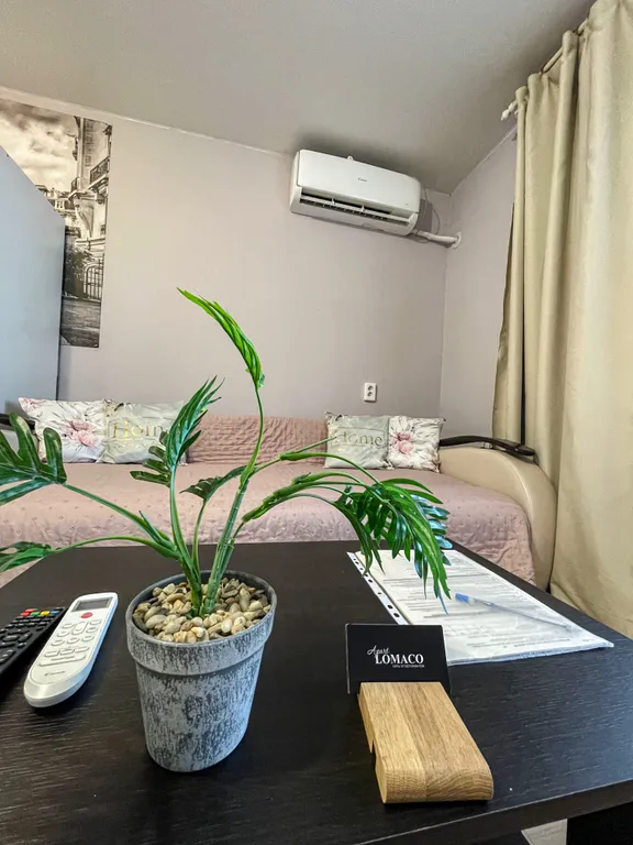 Видовая однокомнатная квартира — аренда посуточно в Благовещенск