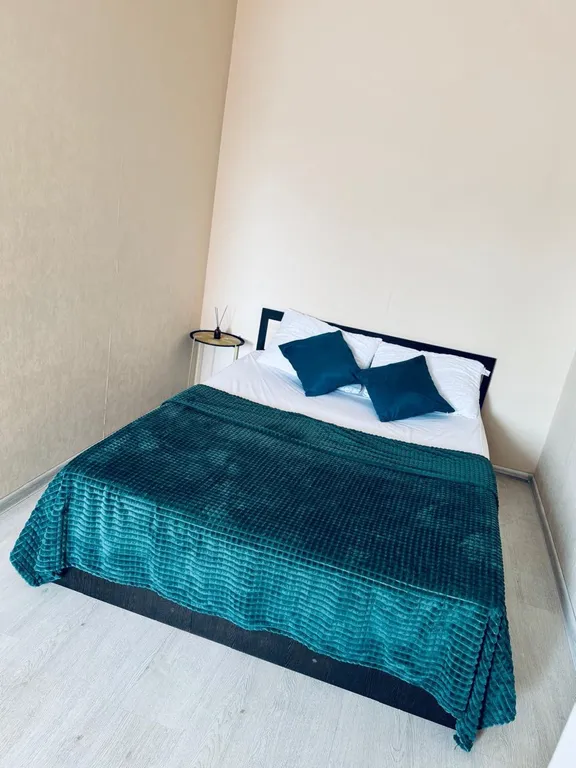 1-комнатная Квартира — аренда посуточно в Воронеж