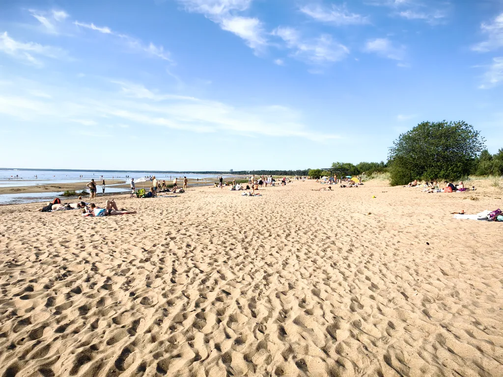 Курортный люкс с видом на лес