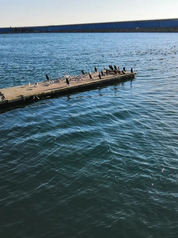 Квартира Квартира у моря — Адлер