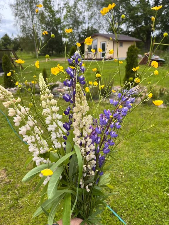 Гостевой домик на хуторе Керино