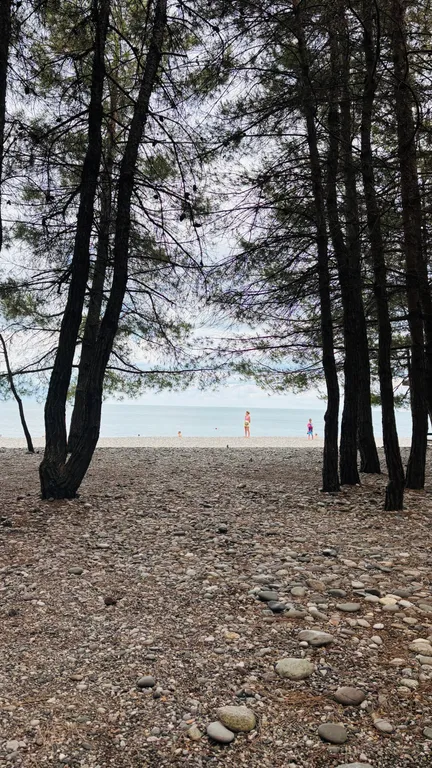 Дом-шалаш с собственной кухней Лдзаа