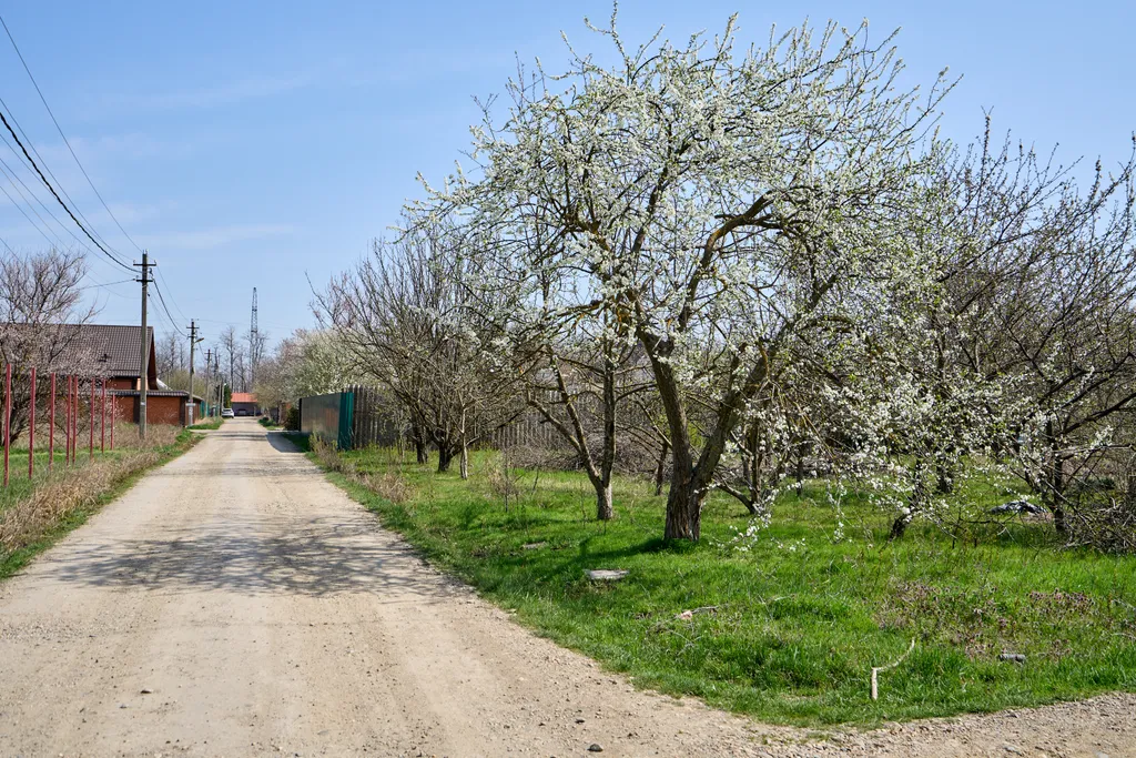 Загородный дом Добрый