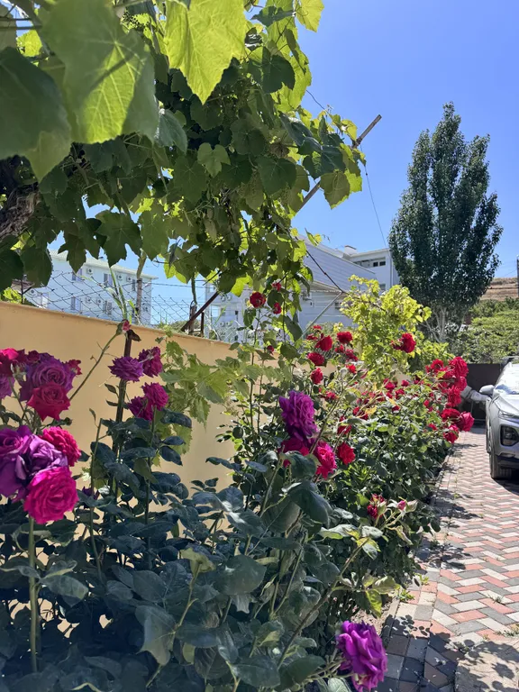 Студия с кондиционером, парковка, 1 этаж, у Хореки