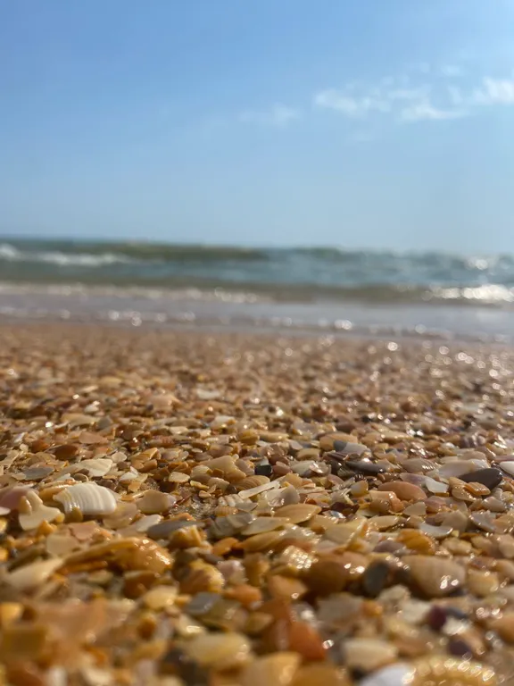 2-местный эконом