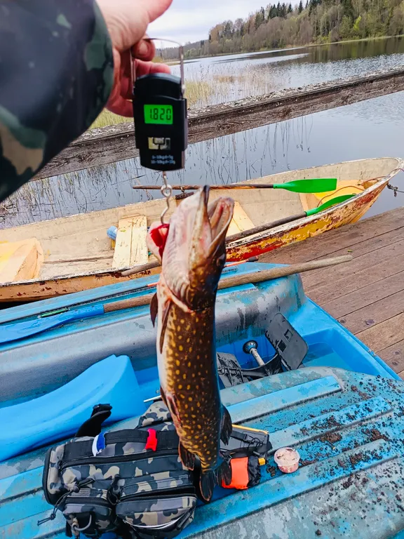 Коттедж Рай на Щеберихе дом 2 — Жегалово